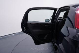 FIAT Punto usata 21