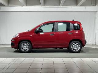 FIAT Panda usata, con Airbag