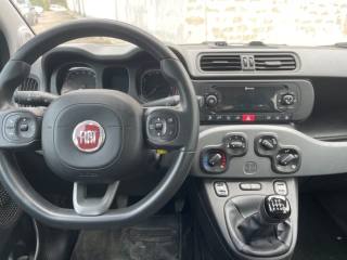 FIAT Panda usata 8