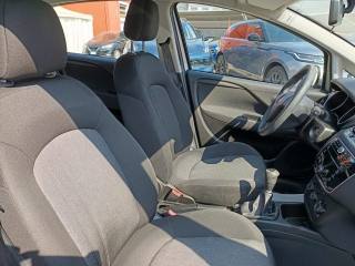 FIAT Punto usata 16