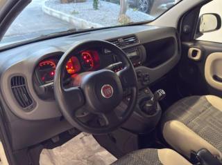 FIAT Panda usata 13