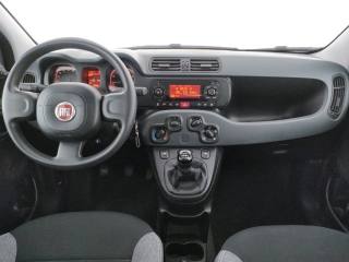 FIAT Panda usata, con Servosterzo