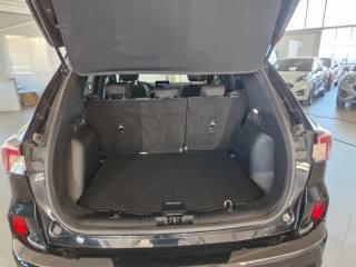 FORD Kuga usata, con Fendinebbia