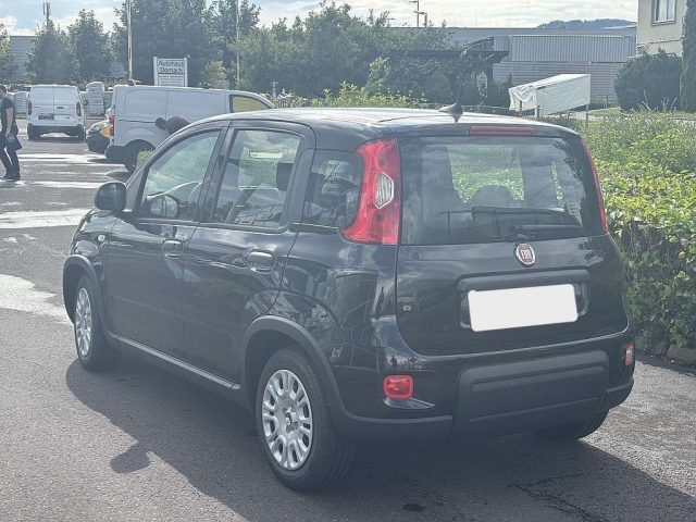 FIAT Panda usata, con Antifurto