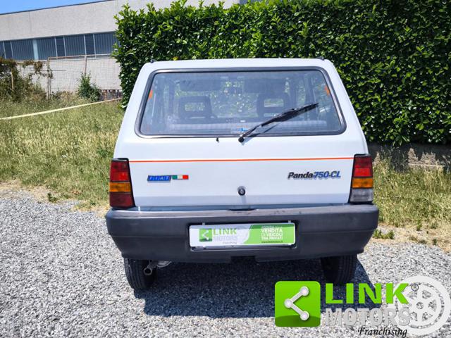 FIAT Panda usata 4