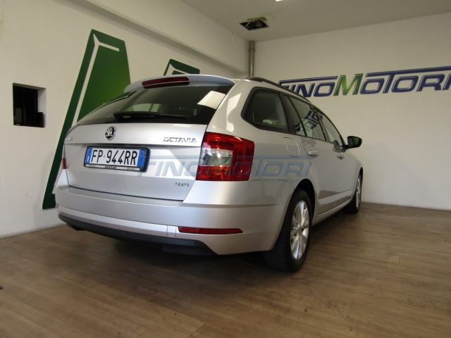 SKODA Octavia usata, con Fendinebbia