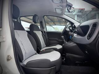 FIAT Panda usata 28