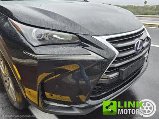 LEXUS NX 300 usata 36
