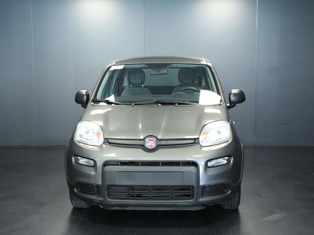 FIAT Panda usata, con Airbag Passeggero