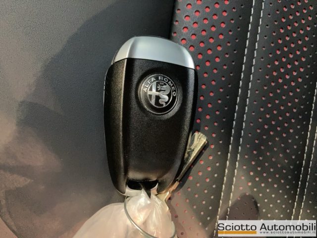ALFA ROMEO Tonale usata, con Bracciolo
