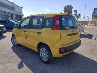 FIAT Panda usata, con Chiusura centralizzata