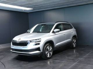 SKODA Karoq 2.0 TDI EVO SCR 115 CV DSG Executive