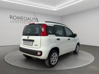 FIAT Panda usata 5