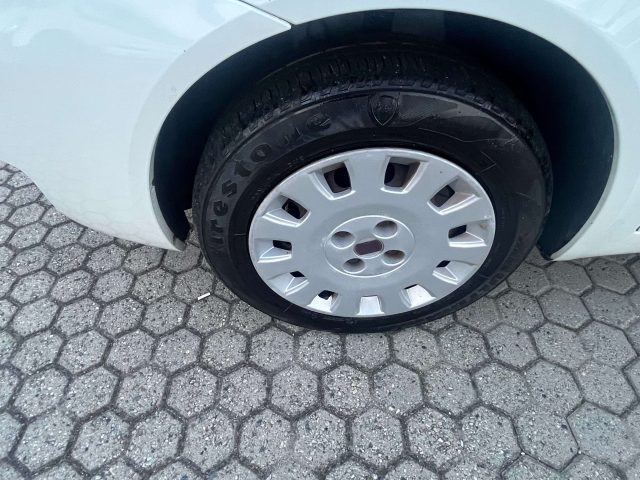 FIAT Punto usata, con Servosterzo