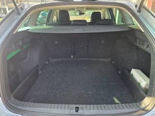 SKODA Octavia usata 111