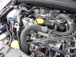 RENAULT Clio usata 44