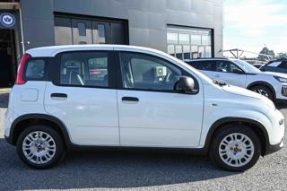 FIAT Panda usata, con Alzacristalli elettrici