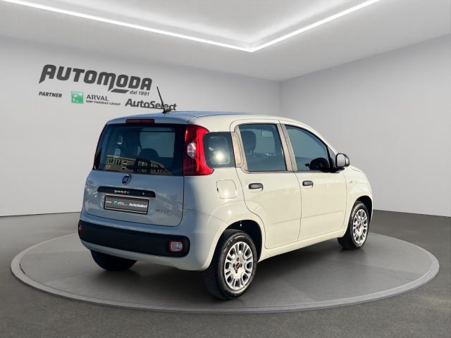 FIAT Panda usata 3