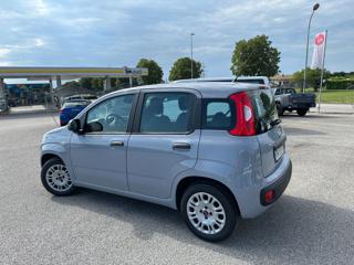 FIAT Panda usata, con Airbag Passeggero