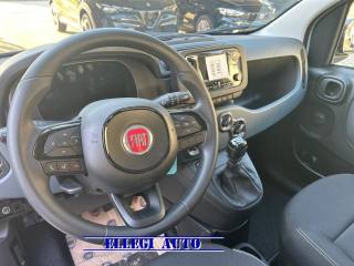 FIAT Panda usata, con Servosterzo