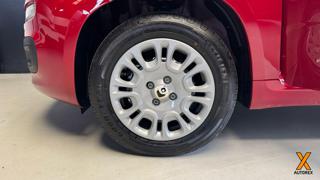 FIAT Panda usata 15