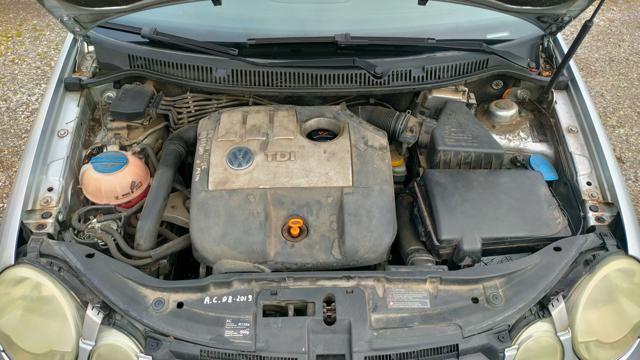 VOLKSWAGEN Polo usata, con Ruotino