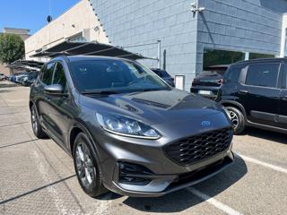 FORD Kuga 2.0 EcoBlue 120 CV aut. 2WD ST-Line