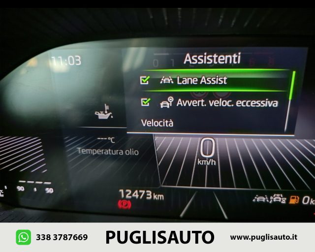 SKODA Fabia usata, con Controllo trazione