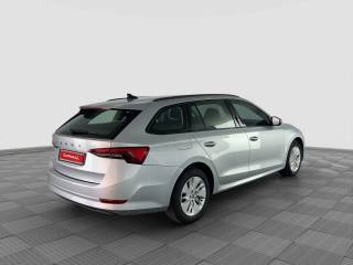 SKODA Octavia usata 4
