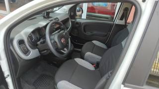 FIAT New Panda usata, con Climatizzatore