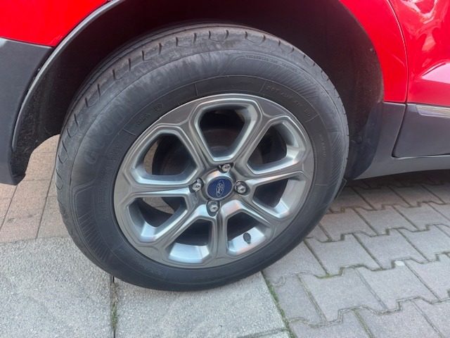 FORD EcoSport usata, con Controllo trazione