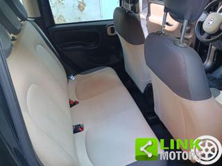 FIAT Panda usata 17
