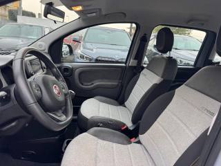FIAT Panda usata, con Cruise Control