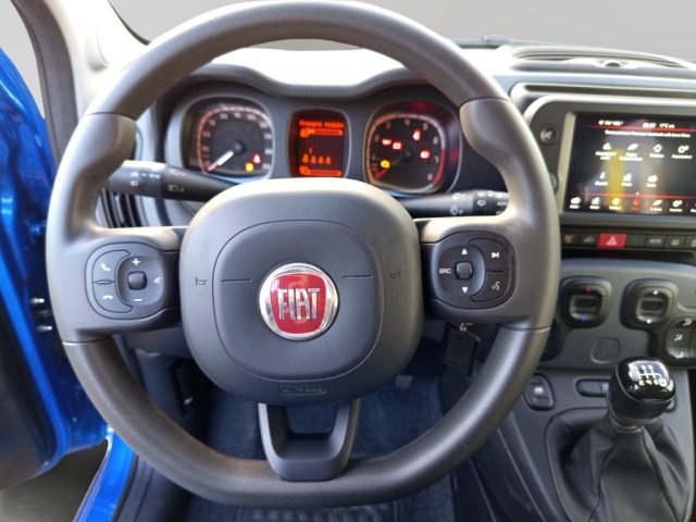 FIAT Panda Cross usata, con Fendinebbia