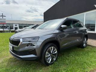 SKODA Karoq usata, con Airbag