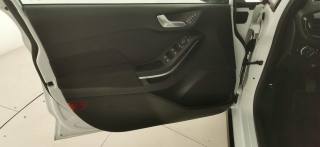 FORD Fiesta usata 45