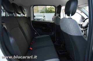 FIAT Panda usata 18