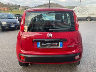 FIAT Panda usata, con Boardcomputer