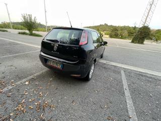 FIAT Punto Evo usata, con Cerchi in lega