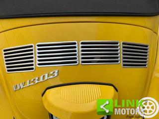 VOLKSWAGEN Maggiolone usata 5