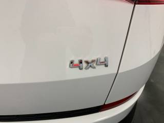 SKODA Kodiaq usata, con Sistema di chiamata d