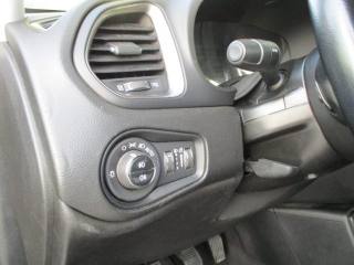 JEEP Renegade usata, con Cronologia tagliandi