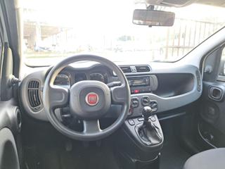 FIAT Panda usata, con Cronologia tagliandi