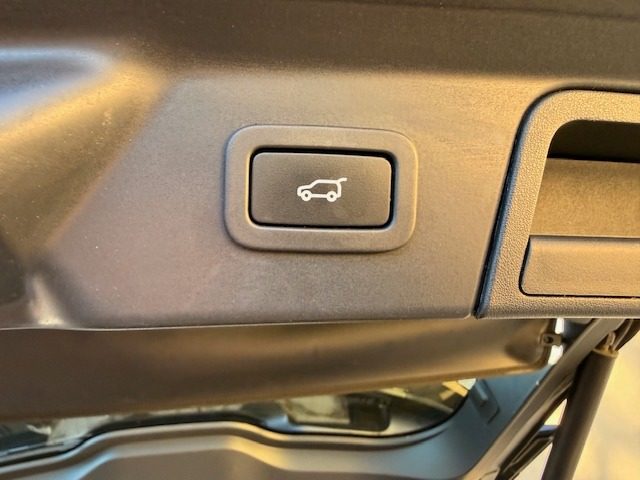 LAND ROVER Range Rover Velar usata, con Interni in pelle