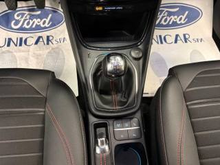 FORD Puma usata, con Vetri oscurati