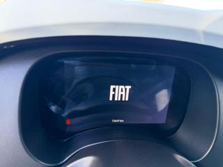 FIAT Panda Cross usata, con Controllo trazione