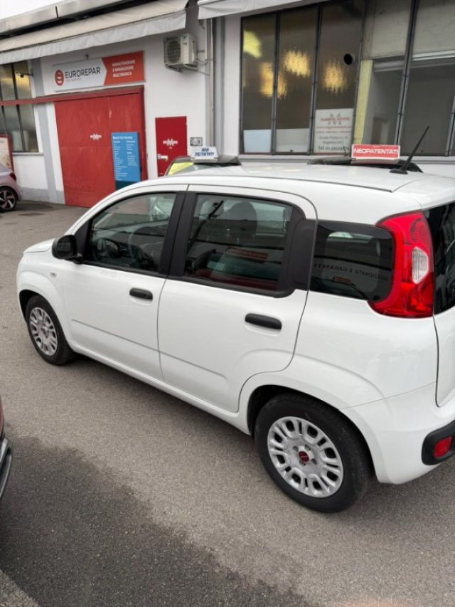 FIAT Panda usata 19