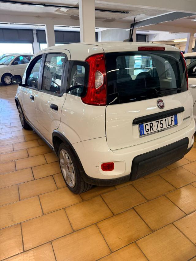 FIAT Panda usata, con Alzacristalli elettrici