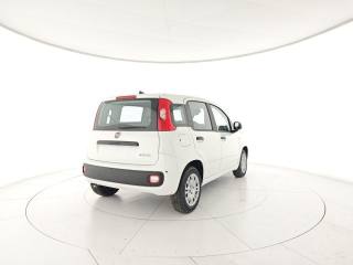 FIAT Panda usata, con Airbag Passeggero