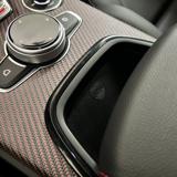ALFA ROMEO Stelvio usata, con Sedili sportivi